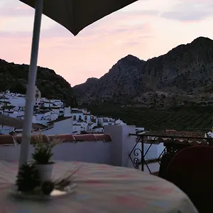 Trigos Montejaque